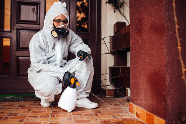 Attic and Crawl Space Rodent Treatment in Andrews